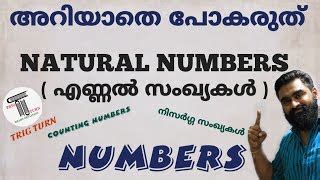 odd numbers meaning in malayalam|ഒറ്റ സംഖ്യകൾ .